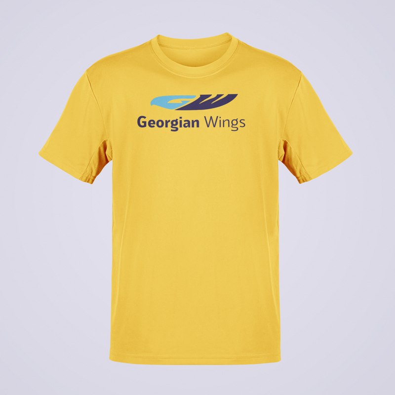 Load image into Gallery viewer, Georgian Wings Airlines Retro Logo T-Shirt Rare Aviation
