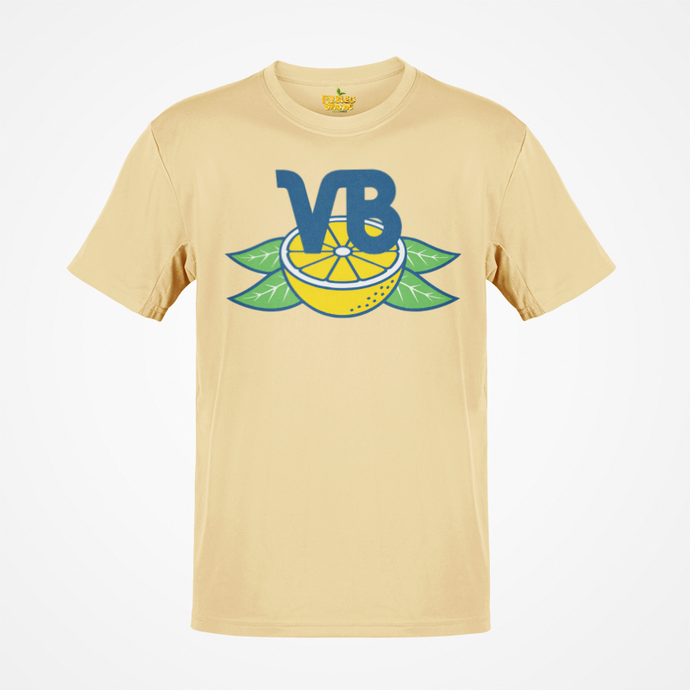 Vero Beach Dodgers Baseball Team Retro Nostalgic T-shirt