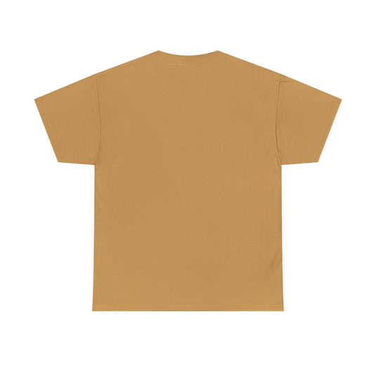Schaumburg Flyers Illinois Baseball 1999-2010 T-shirt